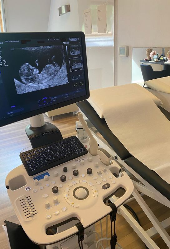 De-koggemeer-echoscopie.jpg